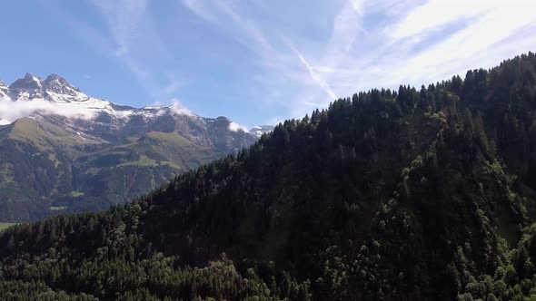 Flight over fir trees in front of the Dents du midi