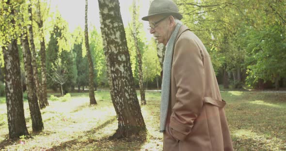 Lonely Thoughtful Senior Man Walking in Sunny Park and Looking Around