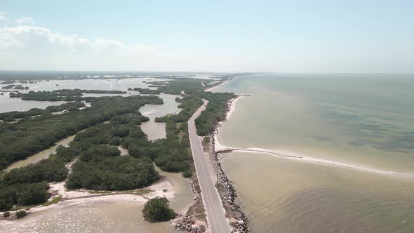 View of the road inside mangrove in yucatan