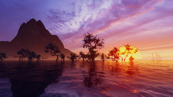 Island In The Sea alt