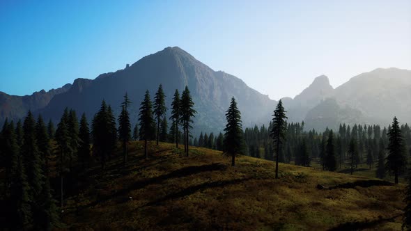 Rocky Mountain Range with Trees