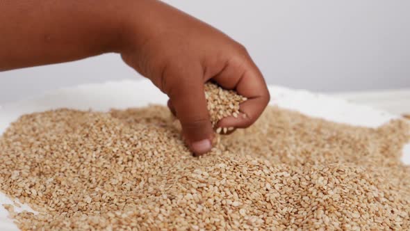 View of picking up sesame seeds with hand