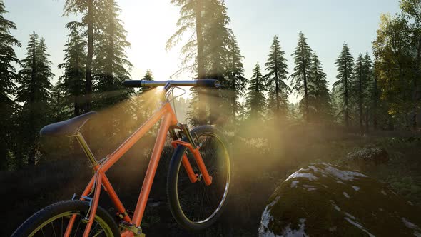 Bicycle in Mountain Forest