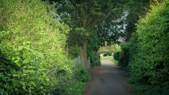 Scenic Leafy Lane Going Down To Gate