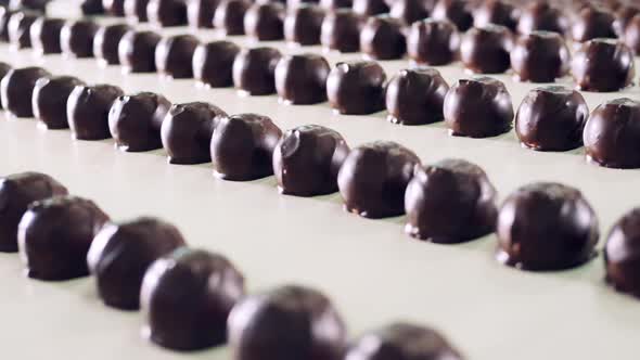 Lines of Chocolate Sweets During Automated Transportation