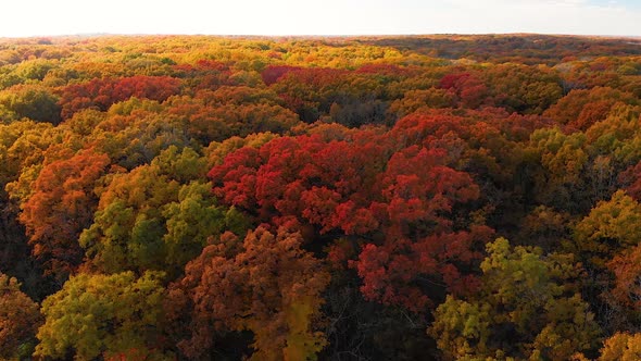 low drone right flight over autumn trees Illinois 4k