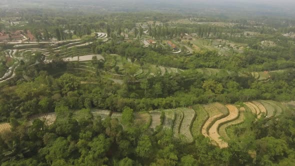 Tropical Landscape with Farmlands in Mountains