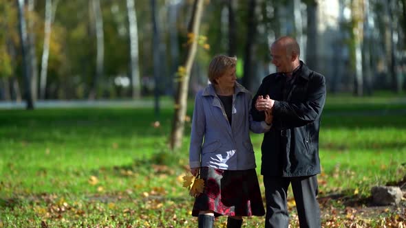 An Elderly Couple Holding Hands While Walking Together in an Autumn Park in the Afternoon