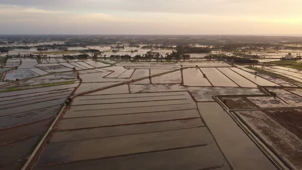 Aerial view beautiful sunset color over water season at paddy field