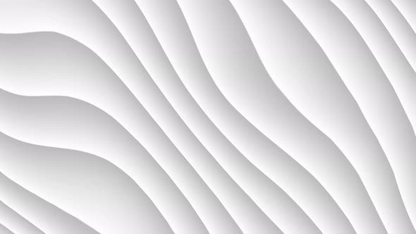 White Background. abstract wave