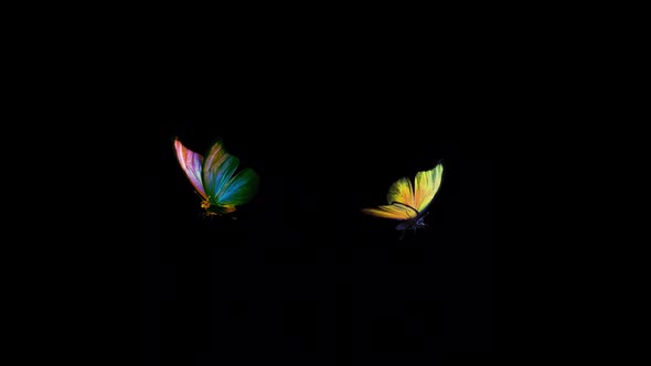 2 Rainbow Butterflies - Flying Loop - Alpha Channel