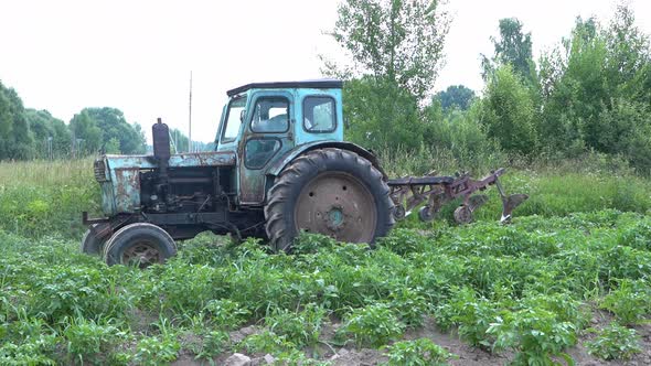 Agricultural Work on a Tractor Mechanized Potato Processing Potato Plowing