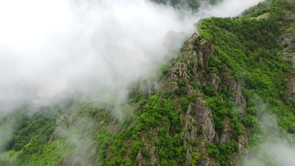 Beautiful Magical Clouds in Mountain Forest