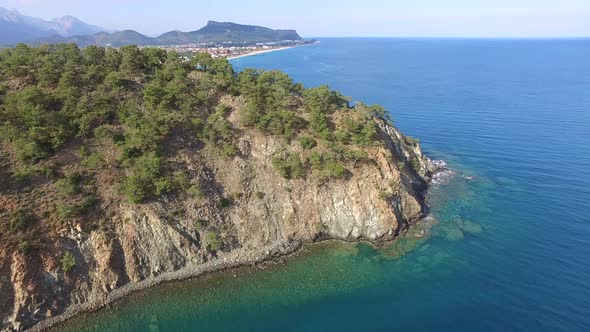 Bright Turquoise Blue Sea at Edge of Forest