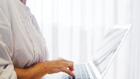 Female business executive using laptop