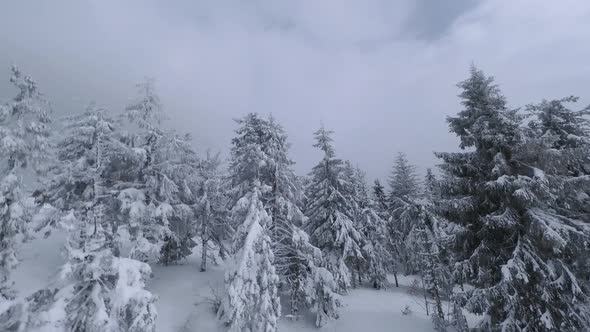 Aerial View of a Fabulous Winter Mountain Landscape Closeup