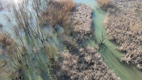 This image was taken in KOCAELİ GÖLKAYPARK. It is a natural lake