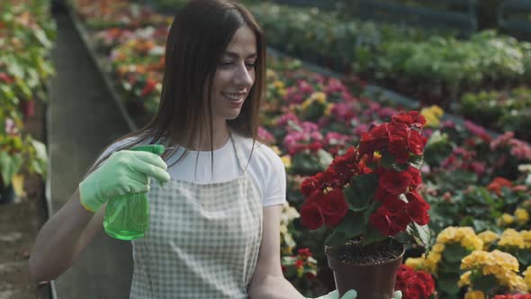 Girl sprays flowers in the garden. Caucasian woman takes care of plants by moisturizing them. Slow m