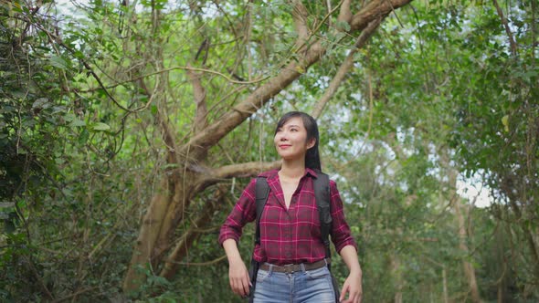 Young Asian woman traveling, look around the view then continue walk in the forest alone in summer.