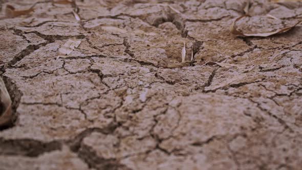 Cracks in dry riverbed mud in drought impacted Siem Reap, Cambodia