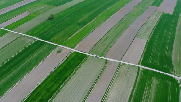 Green Fields And Car