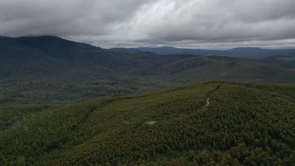 Hastings Caves State Reserve, Hastings, Tasmania, Australia 4K Aerial Drone