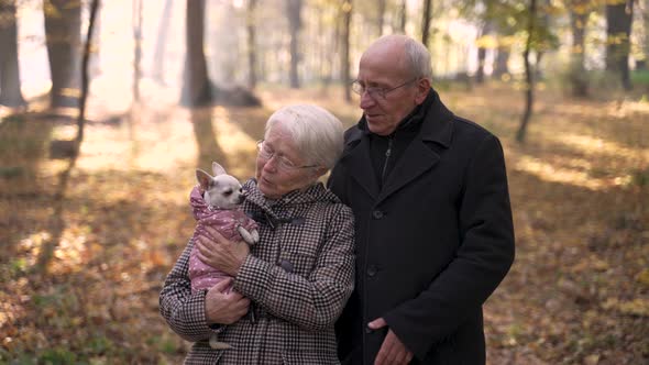 Happy Old Couple Enjoying Walk with Pet in Park