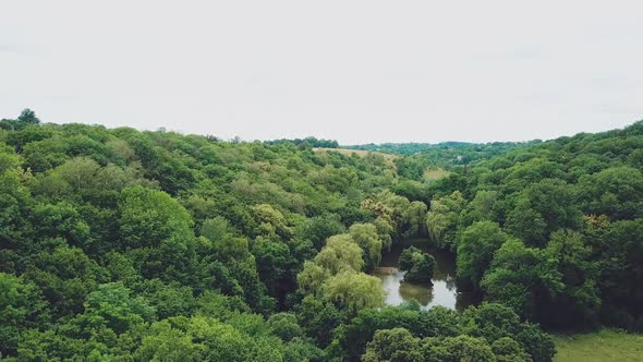 wonderfull countryside landscape with trees and river. Aerial view. Camera motion forward