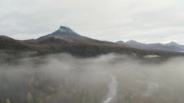 Aerial view over wild river and forest in beautiful scenery