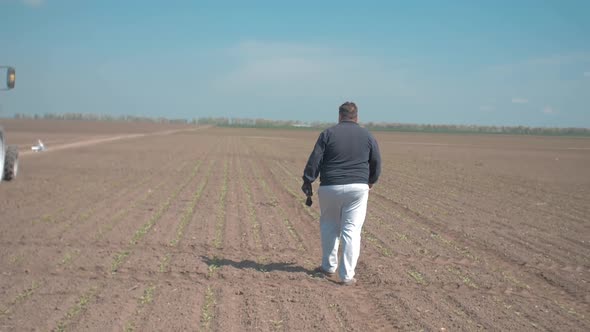 Farmer Walking On A Sugar Beet Field