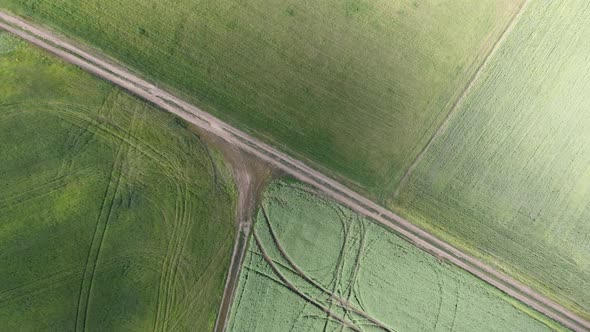 Countryside trail road in green field