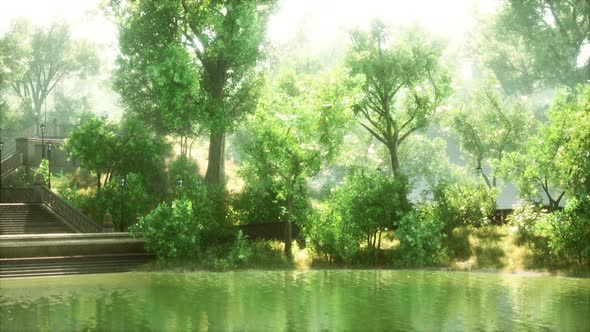 Tranquil Pond Framed By Lush Green Woodland Park in Sunshine