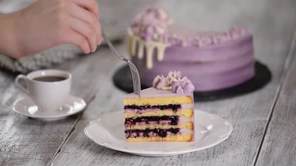 Piece of Summer Blueberry Cake	