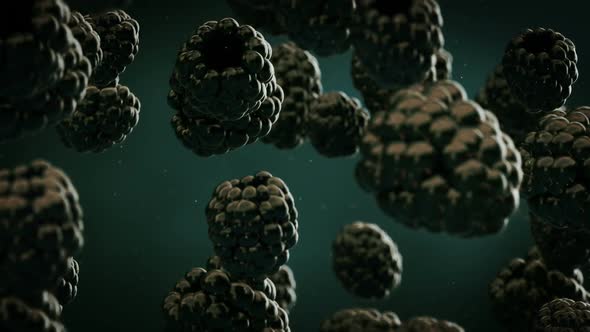 Slow motion animation of delicious blackberries falling down. Loopable. HD