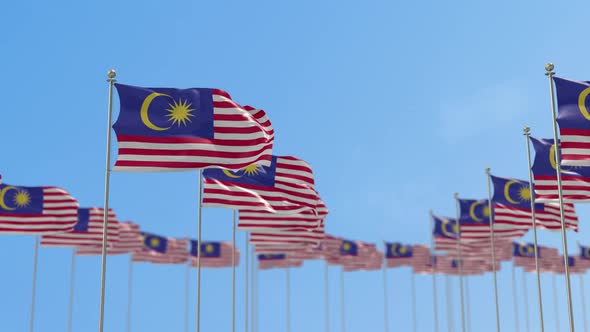 Malaysia Row Of Flags 3D Animation