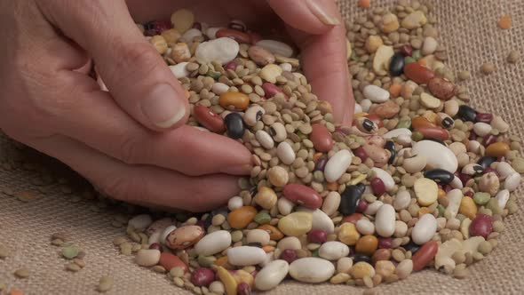 Hands giving mixed beans legumes on jute background at slow motion. Dry legume, lentils, white and r