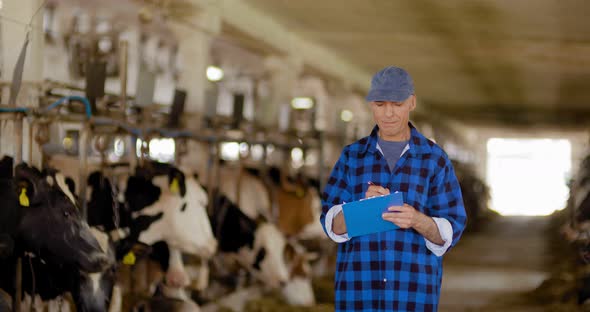 Man working on Livestock Farm