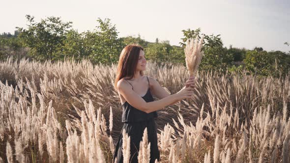 Beautiful Young Woman Walks in the Field Collects a Bouquet of Flowers and Spikelets