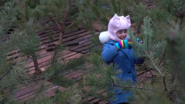 A Cute Little Girl in a Pine Forest in the Autumn Time