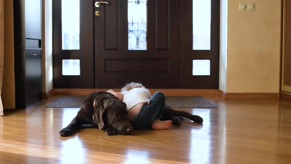 A small child goes to dog lying on the floor and lays on the dog