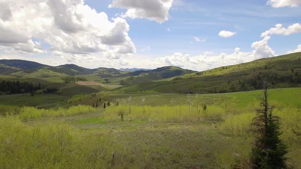 Aerial view flying through trees over rolling green hills