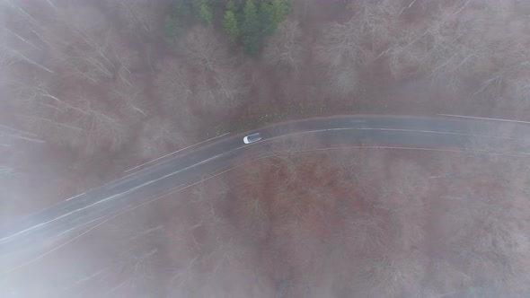 White Car Driving Slowly Through Misty Forest Road, Drone View