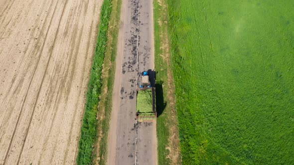 Tractor With Trailer Full Of Mown Grass Hay Harvest Is Moving Along Rural Road