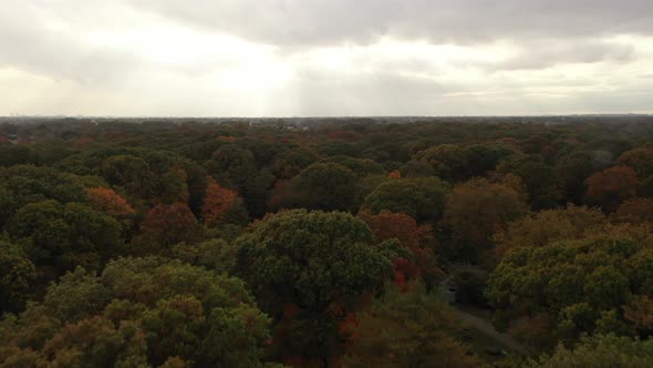 An aerial shot taken directly over colorful tree tops during the fall season. The drone camera dolly