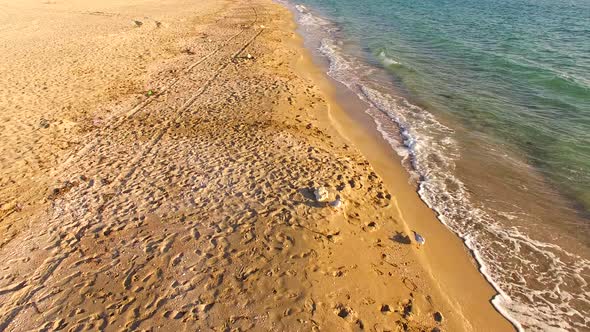 The Coastal Sand Line Is Trampled