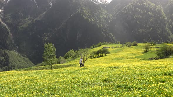 Blond Haired Woman Walking Alone in Meadow With Yellow Flowers in Plateau