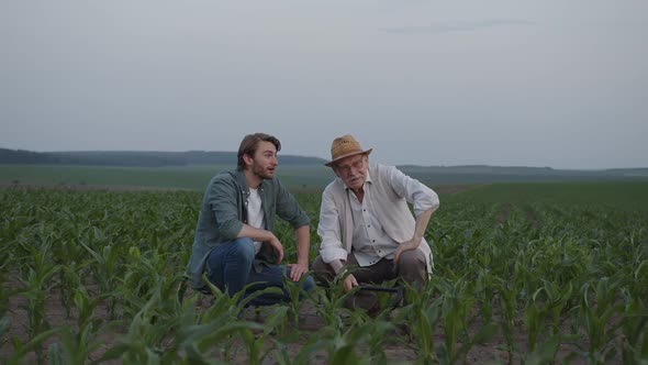 Farmers Sit and Talk About Their Corn Fields