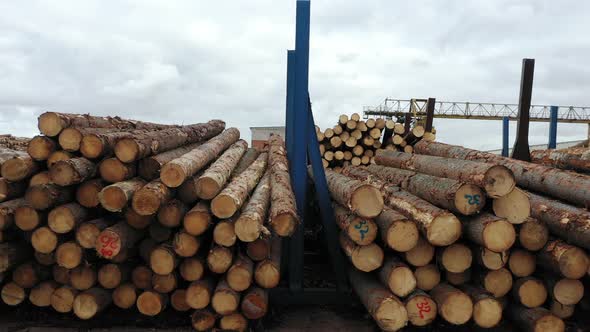 Aerial View of Timber in Storage for Processing at Sawmill Plant for Wood Production Also Known As