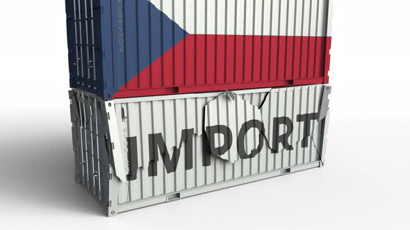 Container with Flag of the Czech Republic Breaks Container with IMPORT Text alt