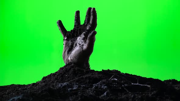 Zombie Hand Emerging From the Ground Grave. Halloween Concept. Green Screen. 012
